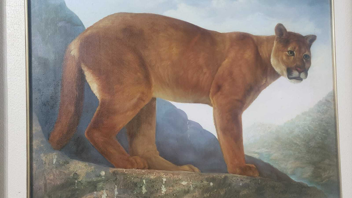 Contemporary Fine Oil Canvas Painting / 1980 - Animal Collector