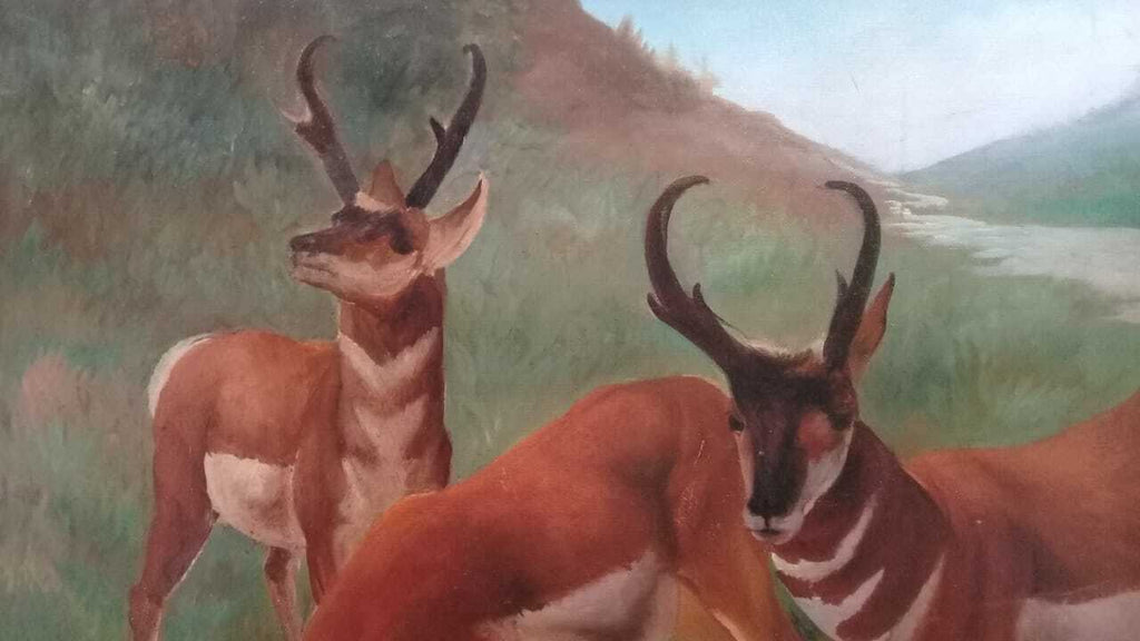 FINE Antique Oil canvas painting / Animal Collector