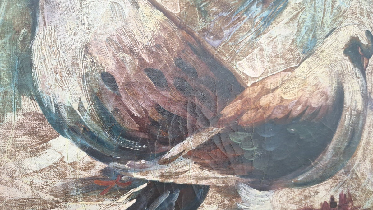 Columba Palumbus Oil Canvas Painting / Extraordinary Technique / Signed 1992