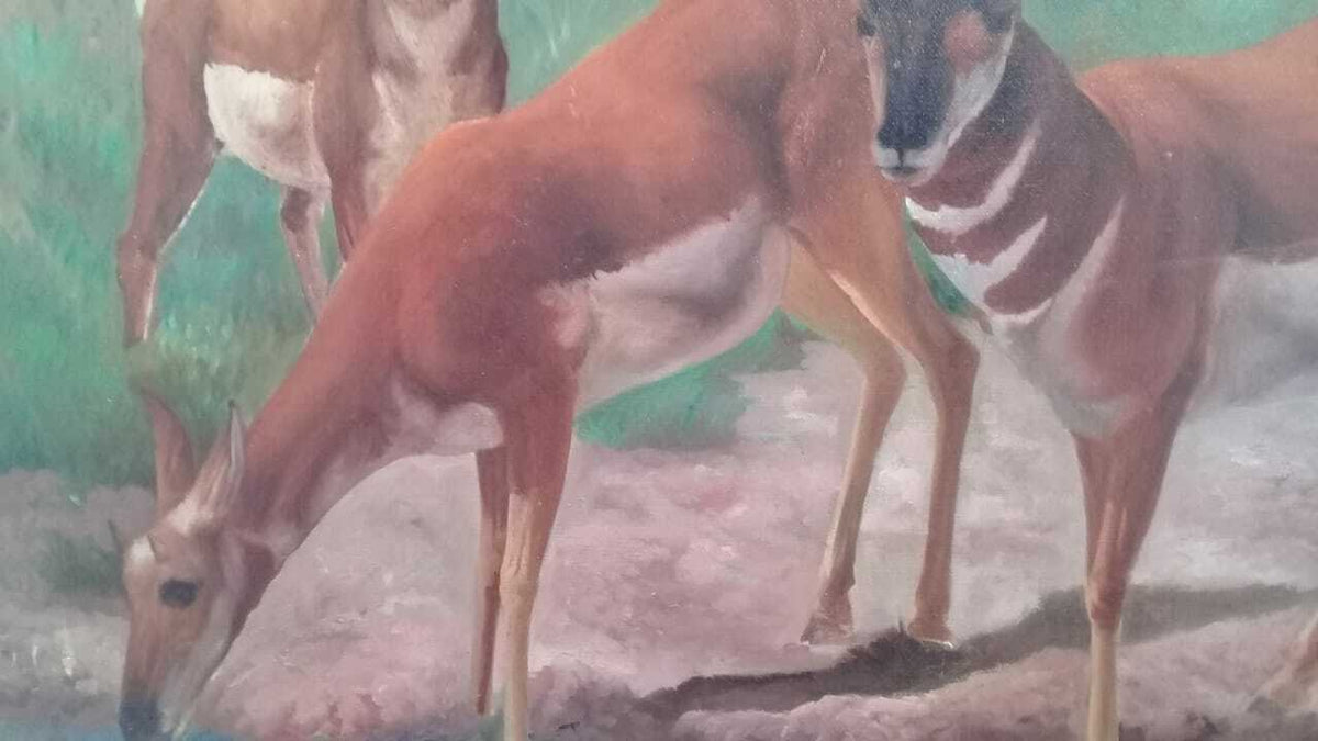 FINE Antique Oil canvas painting / Animal Collector