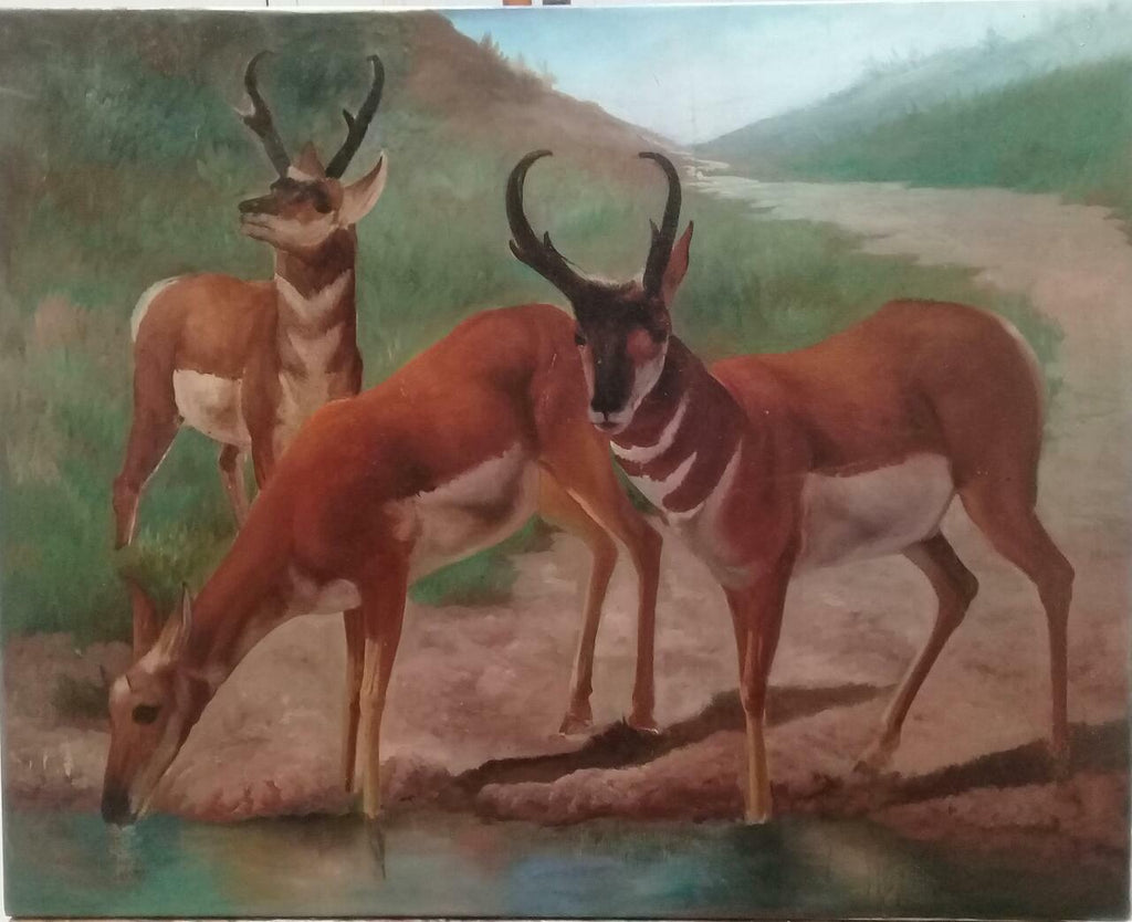 FINE Antique Oil canvas painting / Animal Collector