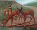 FINE Antique Oil canvas painting / Animal Collector