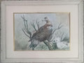 Watercolor Painting - Amazing Composition "Américan Eagle"