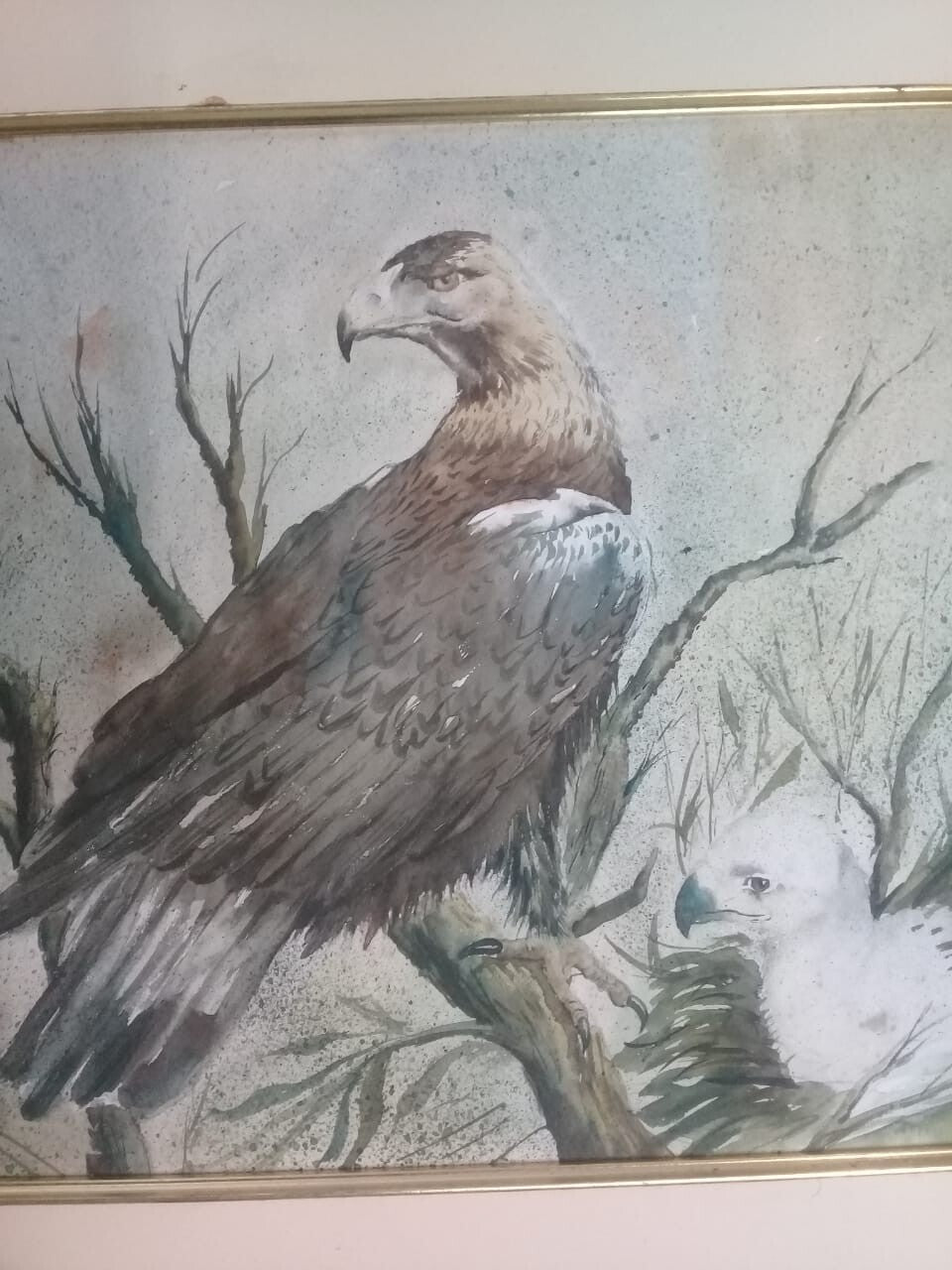 Watercolor Painting - Amazing Composition "Américan Eagle"