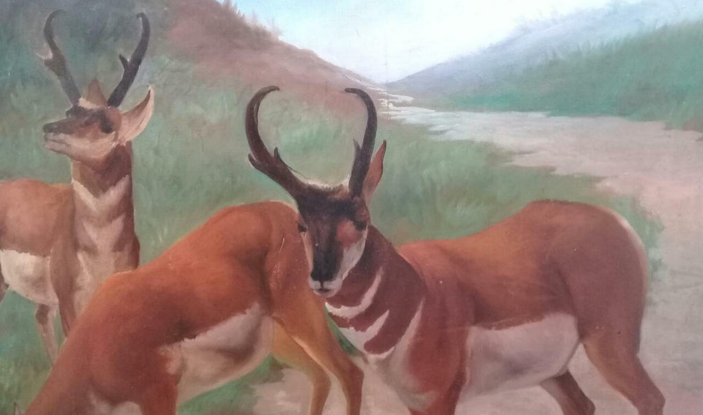 FINE Antique Oil canvas painting / Animal Collector