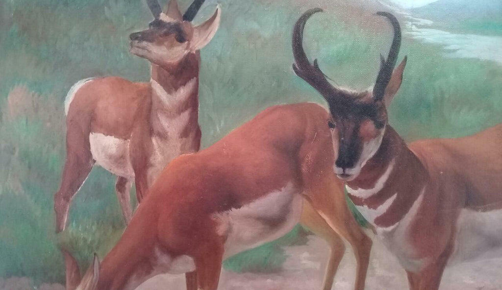 FINE Antique Oil canvas painting / Animal Collector
