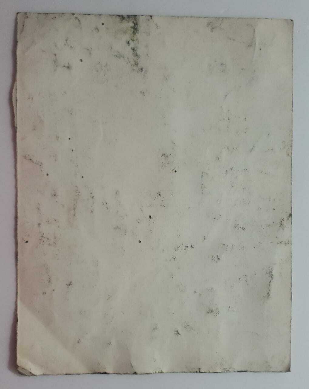 FINE ART: Salvador Dalí - Rare Quichotte « Moulins à vent » / Watery Technique 