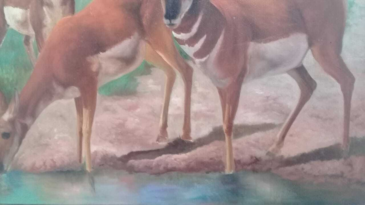 FINE Antique Oil canvas painting / Animal Collector