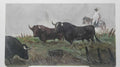 ORIGINAL "Peasant Herding Bulls" - American Landscape/ Danilo Sevilla / Signed  