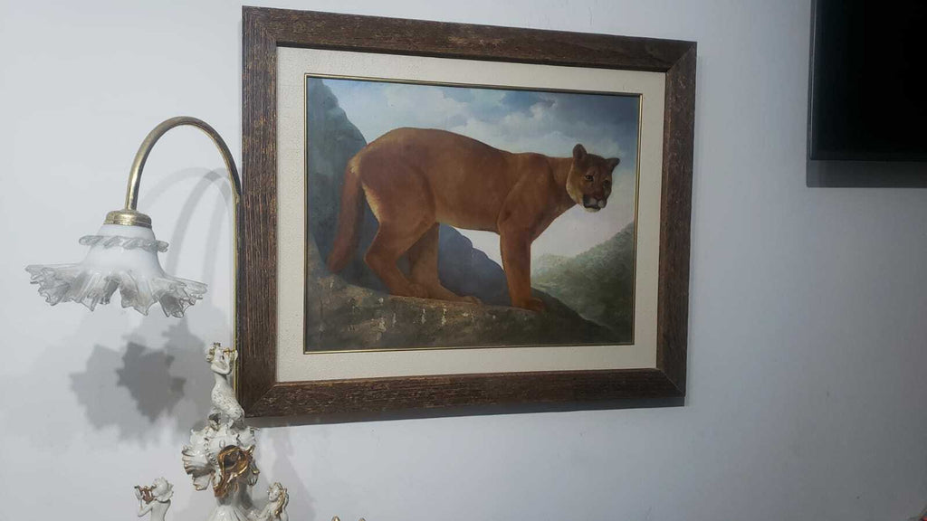 Contemporary Fine Oil Canvas Painting / 1980 - Animal Collector